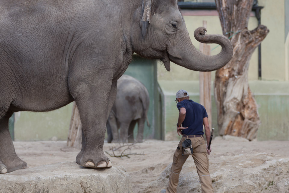 Tierpark-Hellabrunn-2014-IMG_7387.jpg