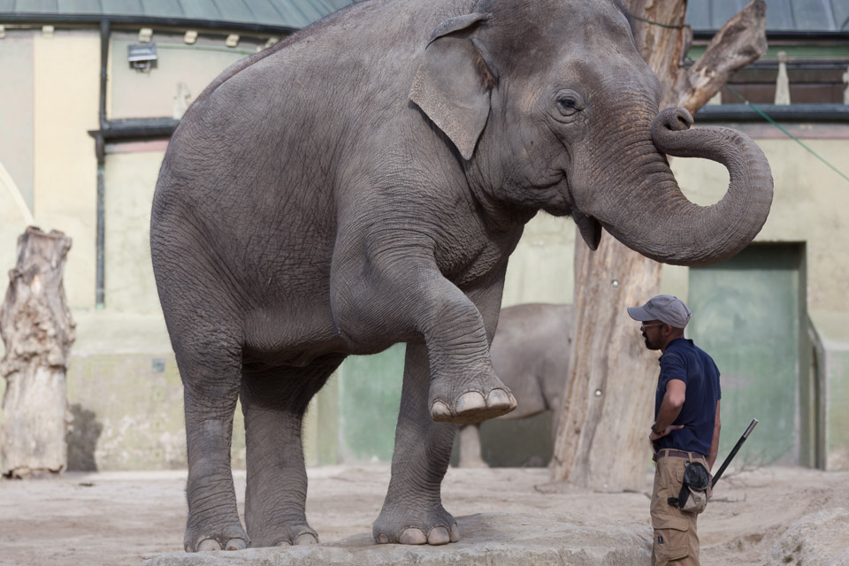Tierpark-Hellabrunn-2014-IMG_7389.jpg