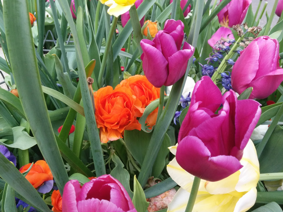 2015-04-29-18.46.42.jpg