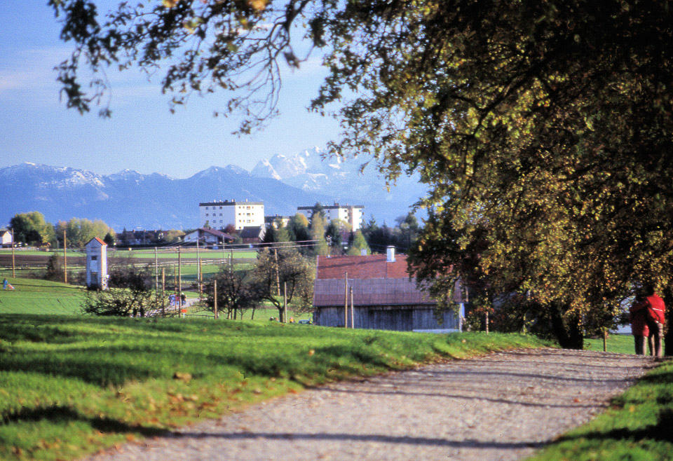ebersberger-forst-10_1353495401_o.jpg