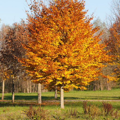 Neubiberg Neubiberg