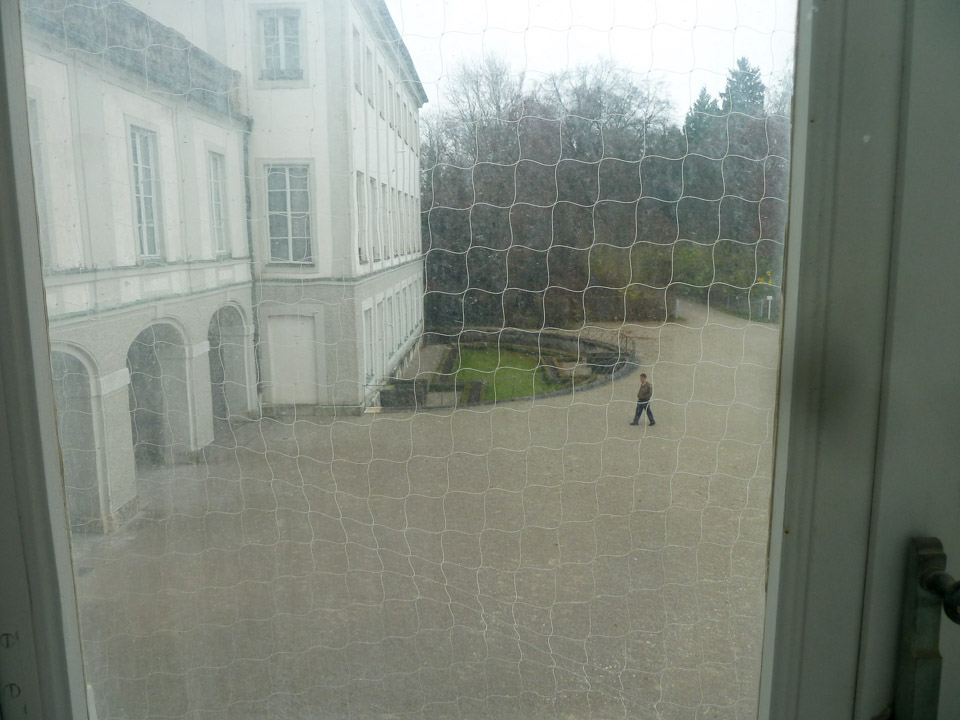 P1030017.jpg