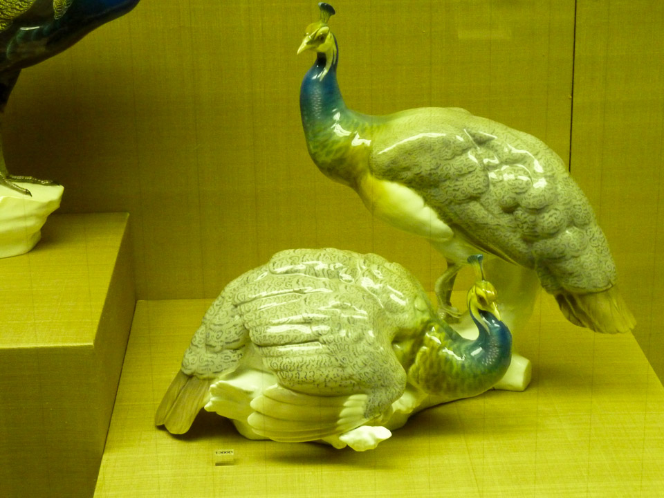 P1030109.jpg