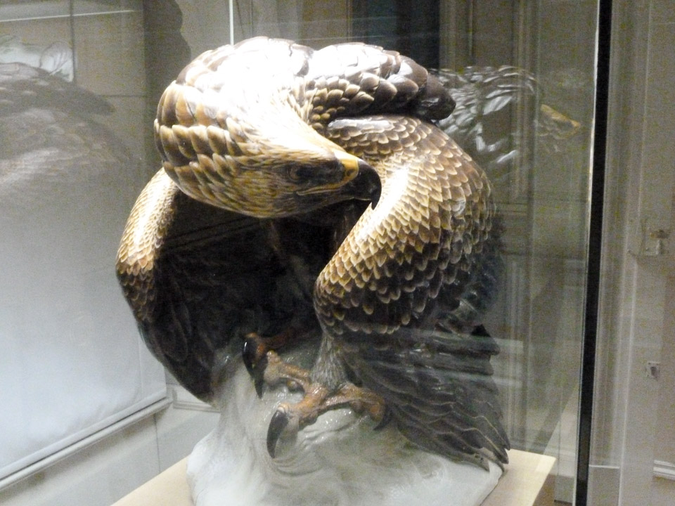 P1030110.jpg