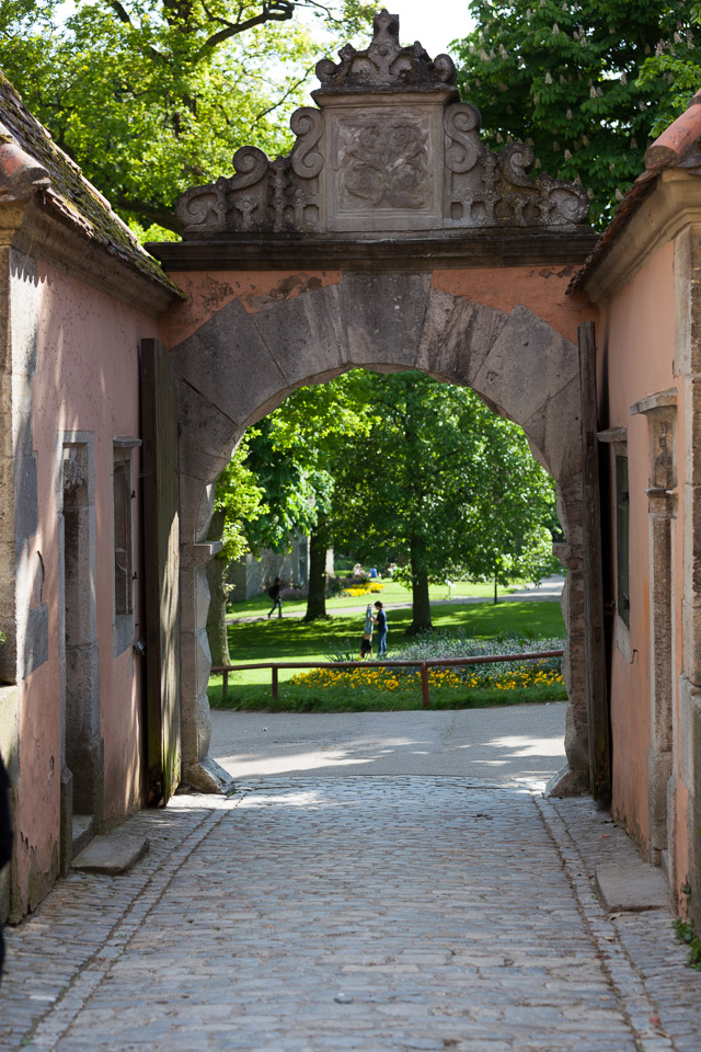IMG_1652.jpg