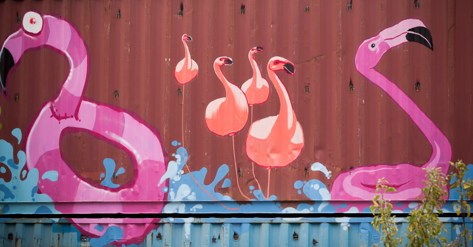 Container-Collective-IMG_3683.jpg