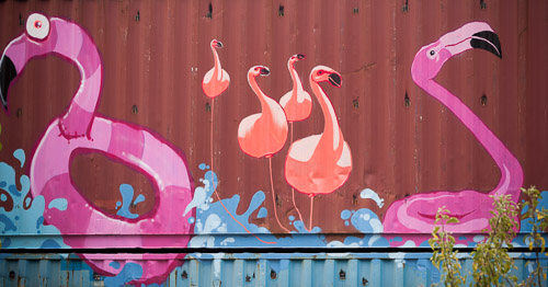 Container-Collective-IMG_3683.jpg