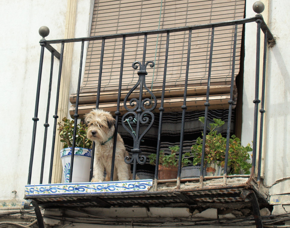 granada-misc-015_1234024967_o.jpg