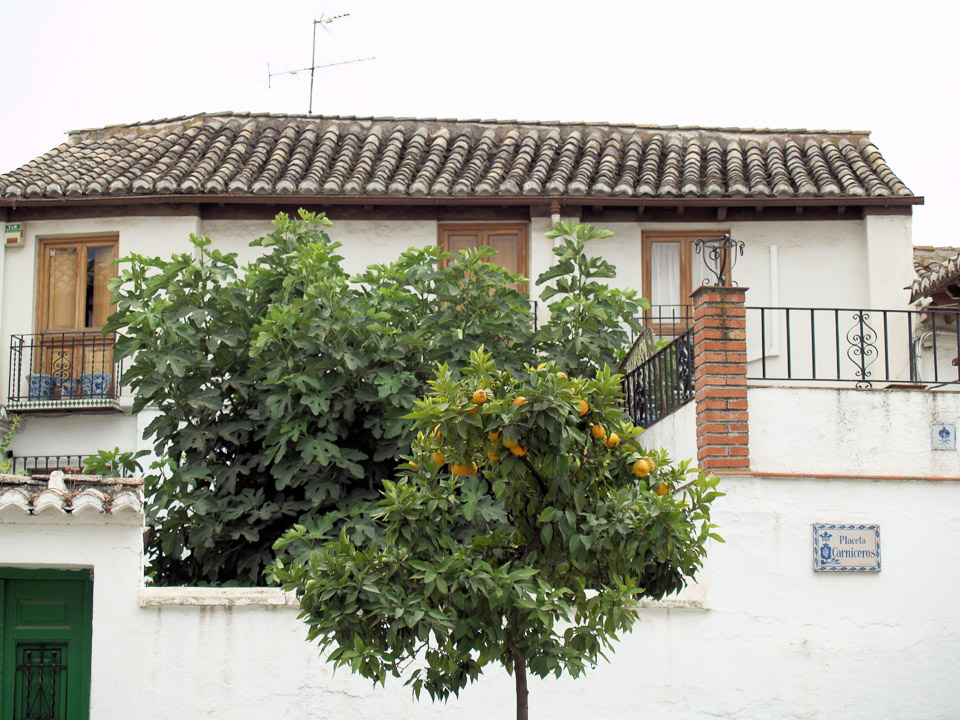 granada-misc-019_1234970888_o.jpg