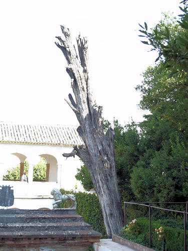 granada-alhambra-016_1231841713_o.jpg granada-alhambra-016_1231841713_o.jpg