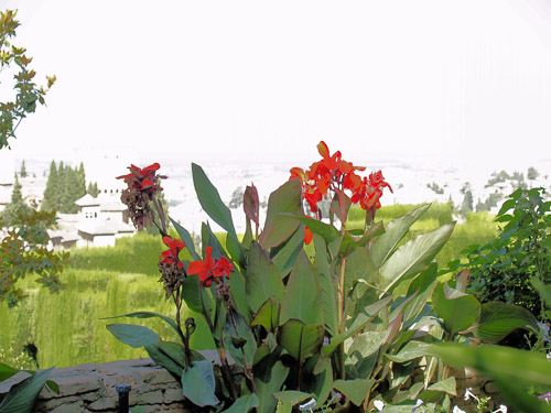 granada-alhambra-018_1232735606_o.jpg granada-alhambra-018_1232735606_o.jpg