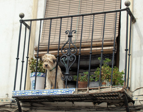 granada-misc-015_1234024967_o.jpg