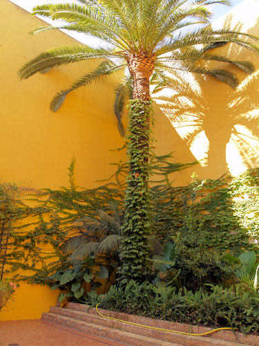 sevilla-palacio-de-la-condesa-de-lebrija-003_1231120232_o.jpg sevilla-palacio-de-la-condesa-de-lebrija-003_1231120232_o.jpg