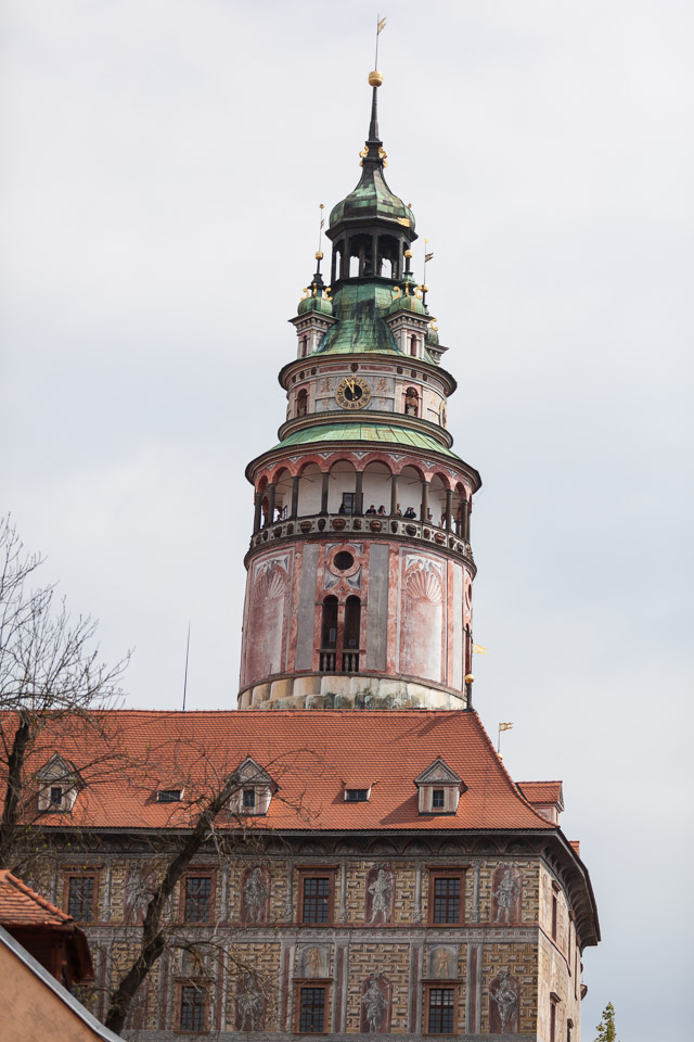 IMG_6146.jpg
