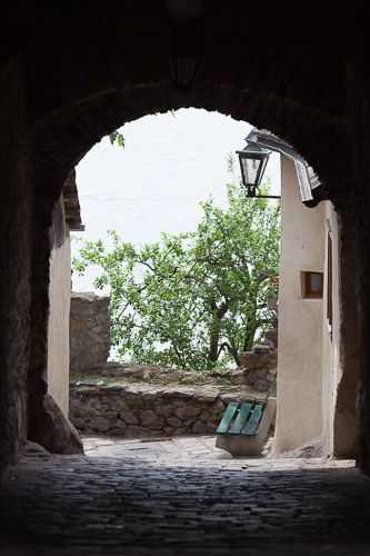 IMG_6078.jpg