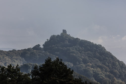 IMG_3738.jpg IMG_3738.jpg