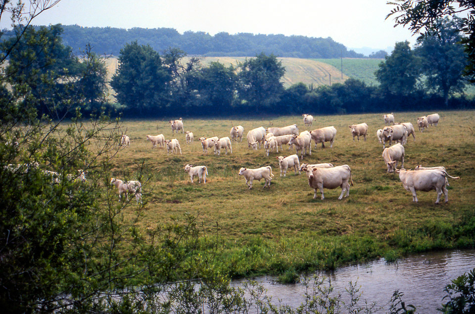 burgundy-houseboat-trip-79_518304944_o.jpg