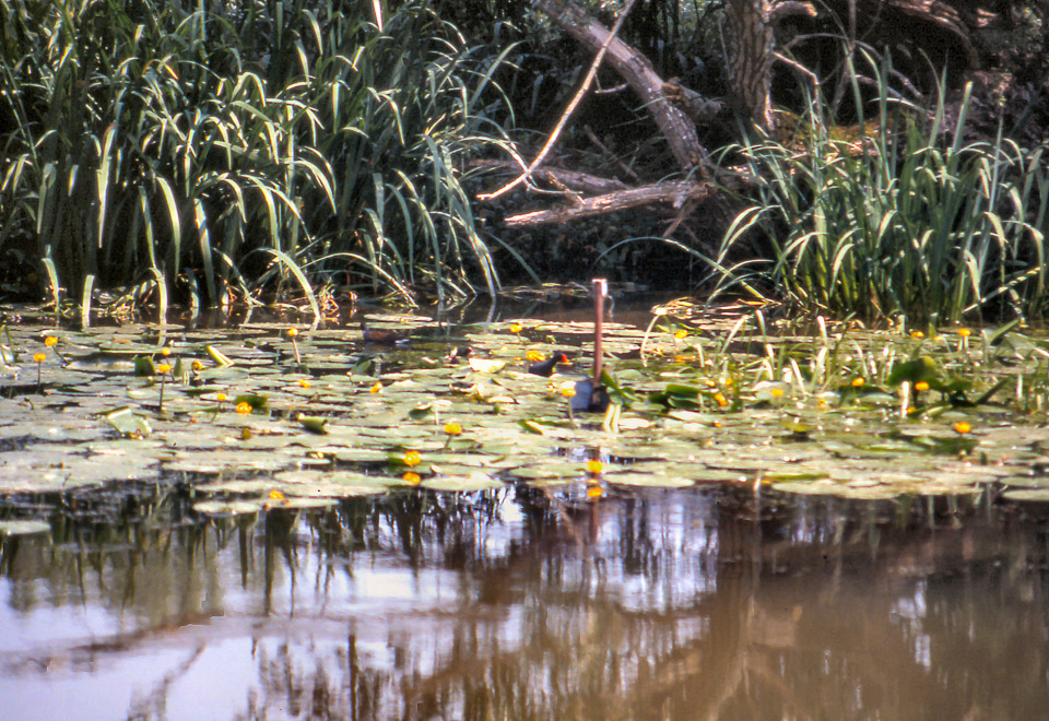 burgundy-houseboat-trip-87_518334218_o.jpg