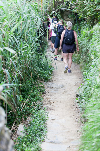 Cinque-Terre-IMG_9396.jpg Cinque-Terre-IMG_9396.jpg