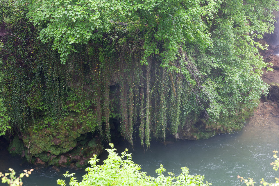 IMG_4074.jpg