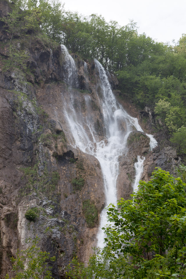 IMG_4103.jpg