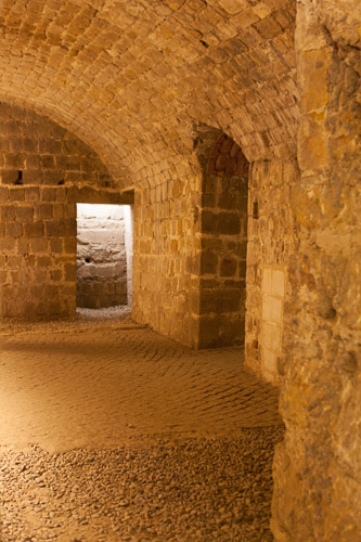 IMG_3734.jpg IMG_3734.jpg