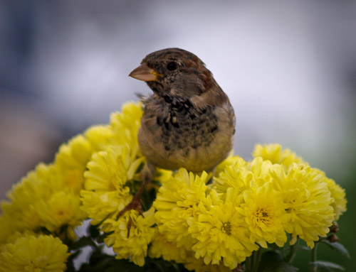 astellas-dresden-p9152237_4394357011_o.jpg astellas-dresden-p9152237_4394357011_o.jpg