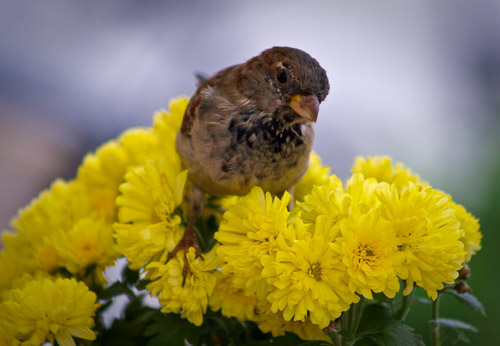 astellas-dresden-p9152241_4395124540_o.jpg astellas-dresden-p9152241_4395124540_o.jpg