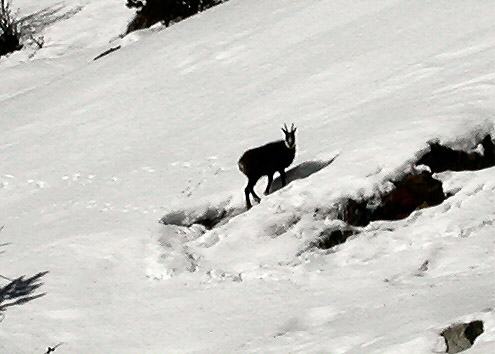 Engadin-p2100004_260911044_o.jpg
