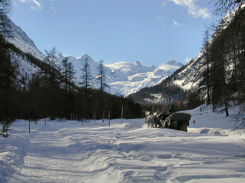 Engadin-p2090003_260904121_o.jpg Engadin-p2090003_260904121_o.jpg