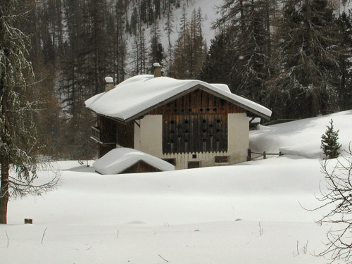 Engadin-p2110005_260933747_o.jpg Engadin-p2110005_260933747_o.jpg