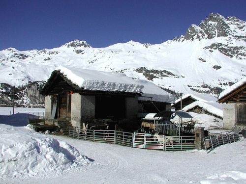 Engadin-p2190049_278911162_o.jpg Engadin-p2190049_278911162_o.jpg