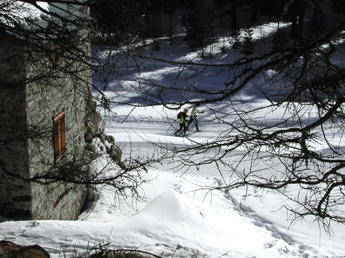 Engadin-p2200051_278911560_o.jpg Engadin-p2200051_278911560_o.jpg