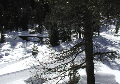 Engadin-p2200052_278911814_o.jpg Engadin-p2200052_278911814_o.jpg