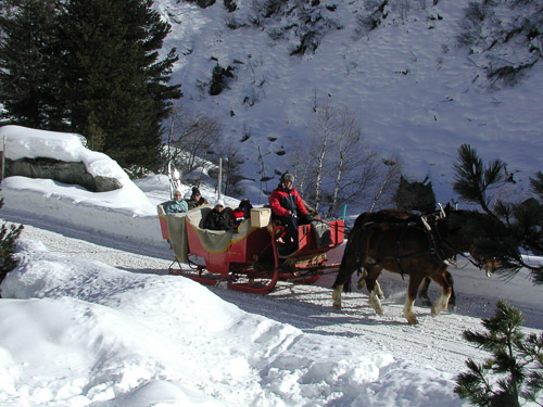 Engadin-p2200055_278912468_o.jpg Engadin-p2200055_278912468_o.jpg