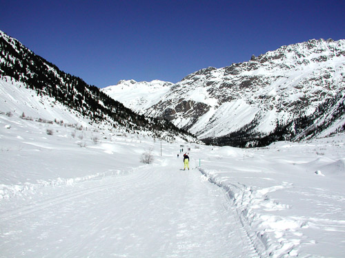 Engadin-p2210065_278914160_o.jpg Engadin-p2210065_278914160_o.jpg