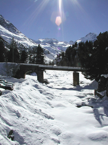 Engadin-p2210066_278914499_o.jpg Engadin-p2210066_278914499_o.jpg