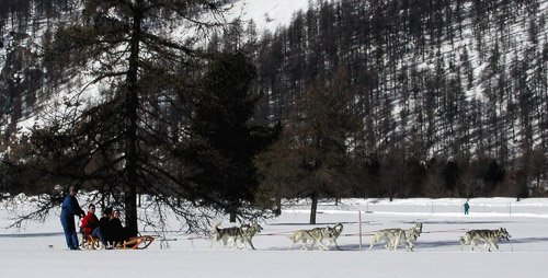 Engadin-p2220073_278916241_o.jpg Engadin-p2220073_278916241_o.jpg