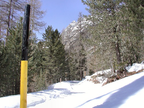 Engadin-p3170003_248382659_o.jpg Engadin-p3170003_248382659_o.jpg