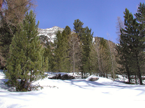 Engadin-p3170004_248383470_o.jpg Engadin-p3170004_248383470_o.jpg