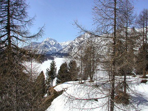 Engadin-p3180001_248397140_o.jpg Engadin-p3180001_248397140_o.jpg