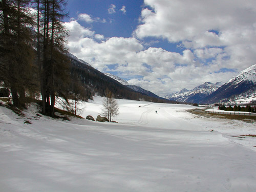 Engadin-p3190004_248401896_o.jpg Engadin-p3190004_248401896_o.jpg