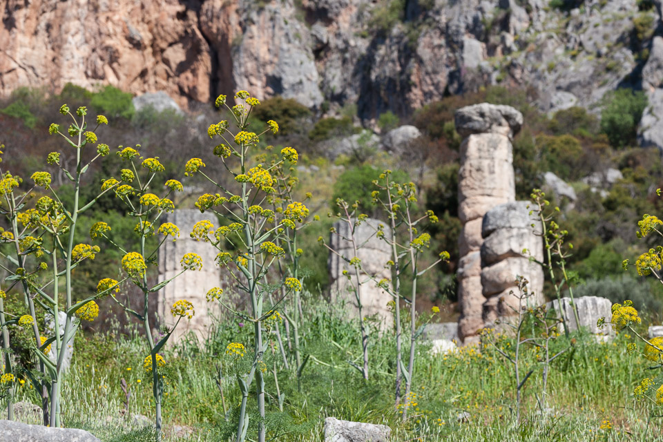 Greece-2014-04-IMG_7787.jpg