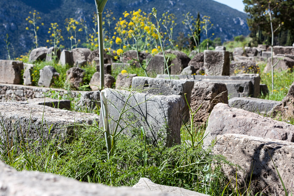 Greece-2014-04-IMG_7801.jpg
