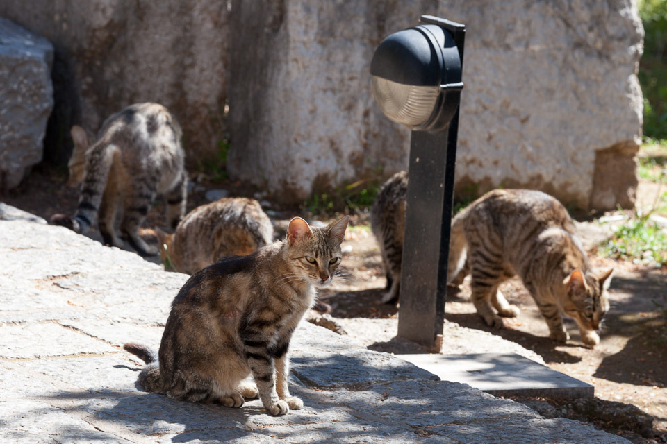 Greece-2014-04-IMG_7815.jpg