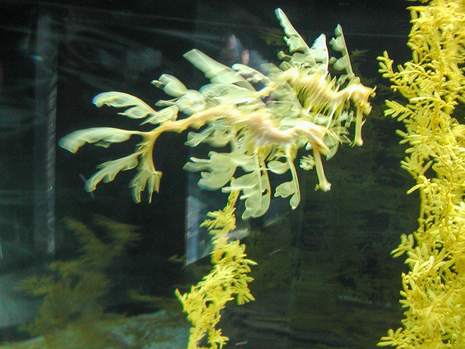 FSC-2002-P9180052.jpg