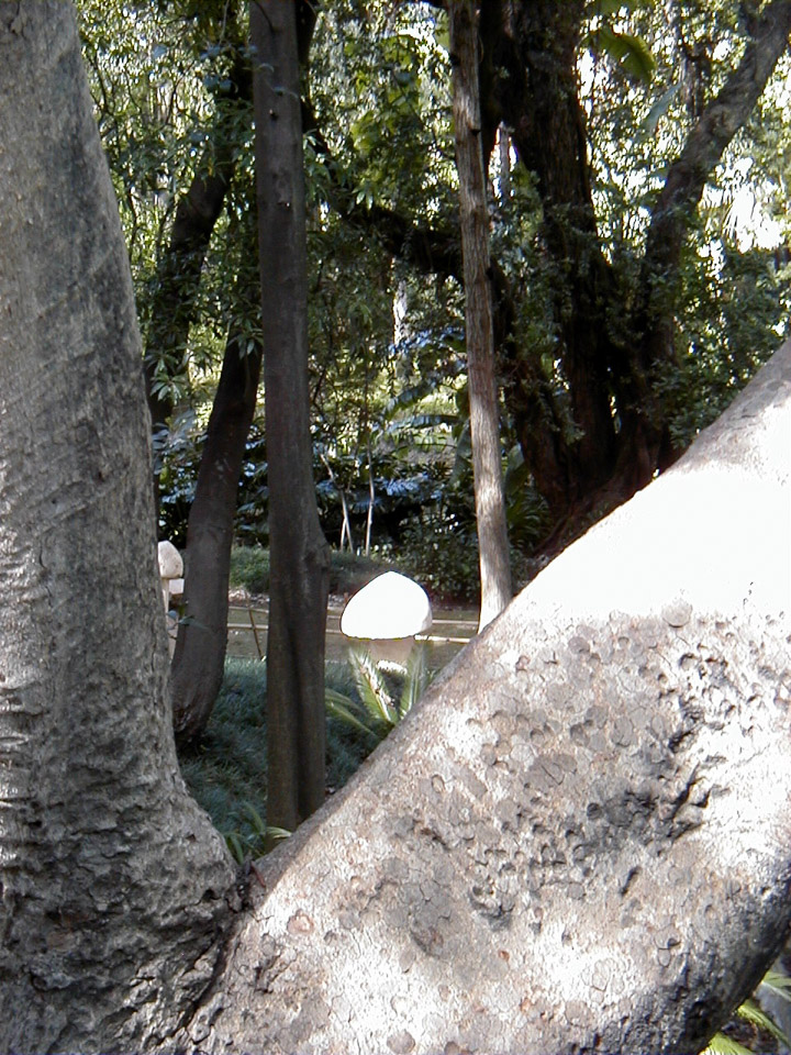 ISMP-2001-P4020017.jpg