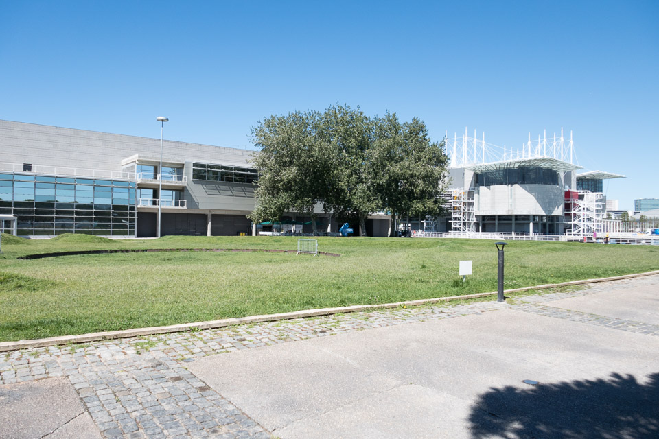 Mylan-EASD-LIsbon-P1010464.jpg