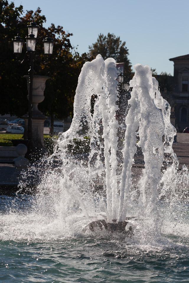 IMG_2797.jpg