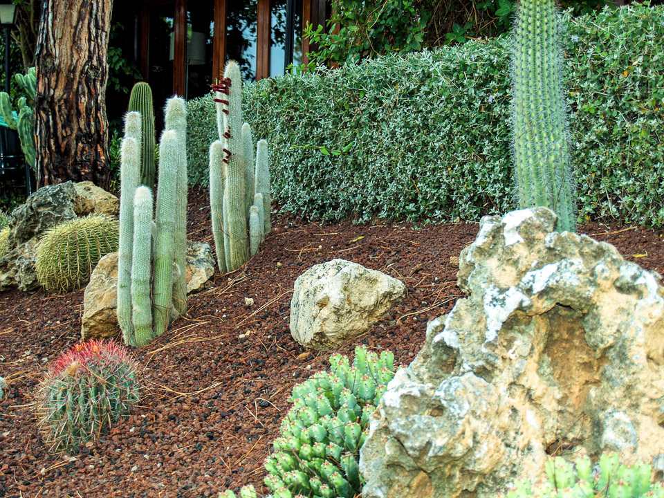 Mallorca-2006---21-2.jpg
